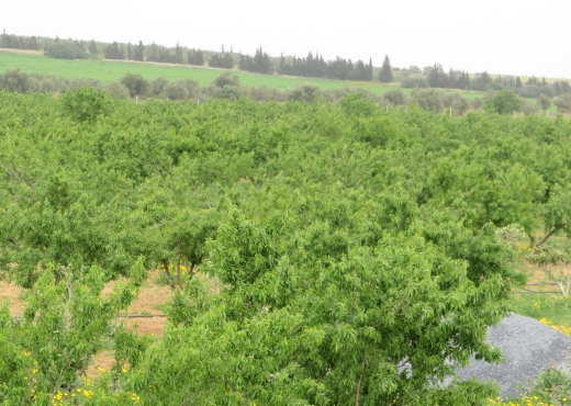 Magnifique ferme de 8 hectares 500