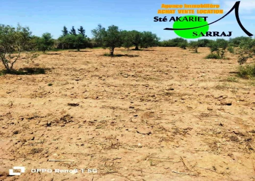 terrain À Vendre à SOUSSE - Terrain agricole a Sidi Bouali sou - Immobiliere.tn - Photo 3