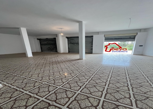 villa ZEBRA VVN090
