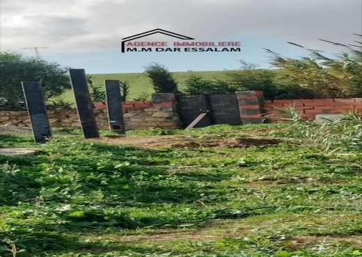 terrain À Vendre à NABEUL - terrain sur la route principal - Immobiliere.tn - Photo 9