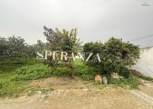 vente terrain viviana