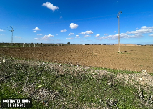 Terrain Agricole