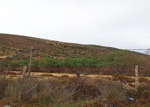 Terrain 1 400 m² à Ghar El Melh 🏝️