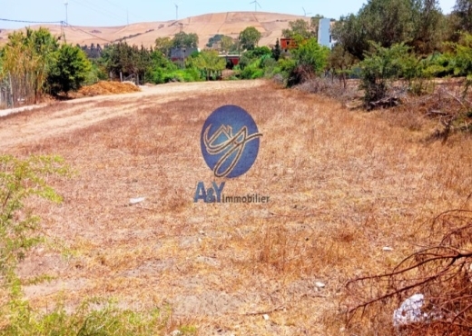 🌾 Terrain 2300 m² à Garia – Metline