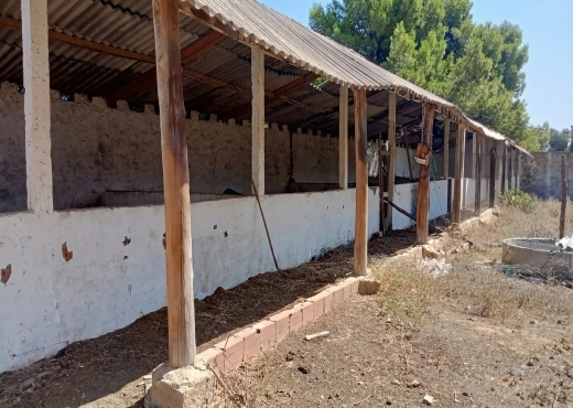 Ferme exceptionnelle située à Ras El Djebel