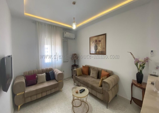 Appart S+2 Meublé Centre Midoun