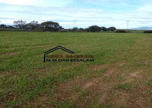 terrain agricole près de la plage