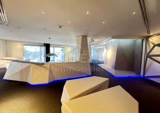AL LOCAL COMMERCIAL AU LAC1