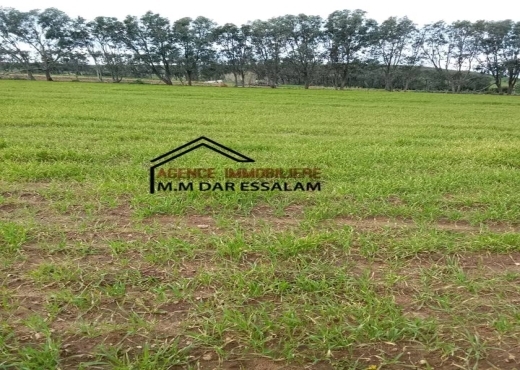 terrain agricole près de la plage