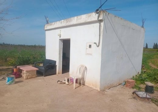 للبيع فيرمة لوز و زيتون و غلال أخرى