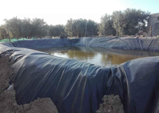 terrain agricole