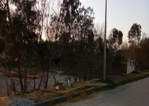 à vendre à lotissement les flamants roses