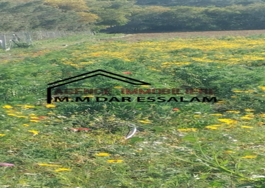 terrain agricole à vendre