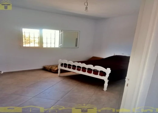terrain À Vendre à NABEUL - 🌿 للبيع ضيعة فلاحية بطريق بوفيشة 🌿 - Immobiliere.tn - Photo 7