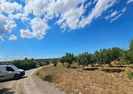 terrain À Vendre à NABEUL - 500m  A Hammamet sud zone 71 - Immobiliere.tn