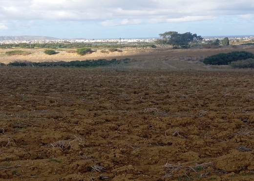 Terrain agricole, Route Ras Jebel ↔ Rafraf