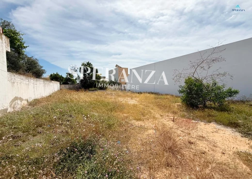 terrain À Vendre à NABEUL - Vente Terrain Olivaire - Immobiliere.tn - Photo 4