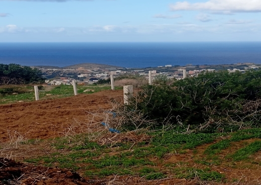|🏝️ Vue mer + nature = coup de cœur garanti