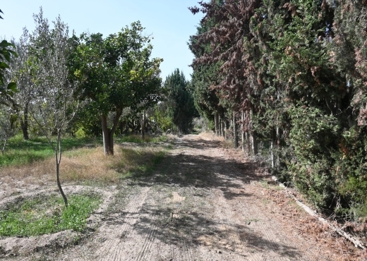A vendre une ferme à Nabeul