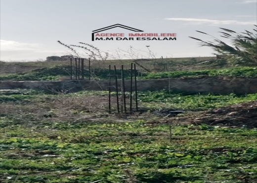 terrain À Vendre à NABEUL - terrain sur la route principal - Immobiliere.tn - Photo 10