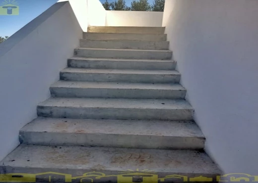 terrain À Vendre à NABEUL - 🌿 للبيع ضيعة فلاحية بطريق بوفيشة 🌿 - Immobiliere.tn - Photo 4