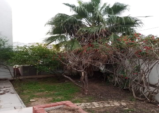 MENZEH 6