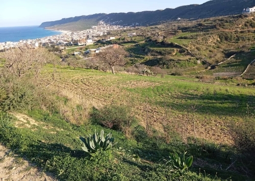 🌊 Terrain 4000 m² vue mer à Rafraf