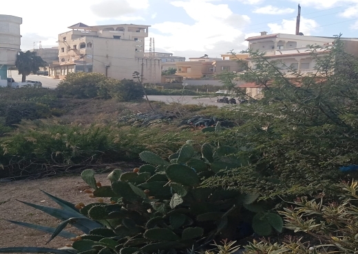 Terrain à Rafraf – Emplacement exceptionnel 🌅