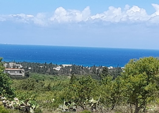 Terrain a raf raf  9300m²