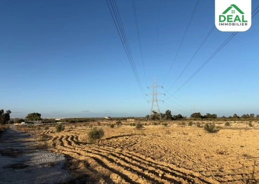 ferme À Vendre à SOUSSE - Opportunité d’investissement à vendre - Immobiliere.tn - Photo 6