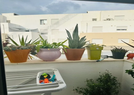 Appartement À Vendre à BEN AROUS - A Vendre Appart S+2 à Boumhel - Immobiliere.tn