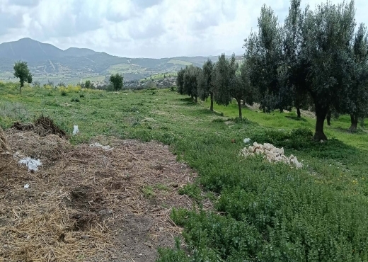 terrain À Vendre à ZAGHOUAN - terrain agricole à vendre +maison - Immobiliere.tn - Photo 2