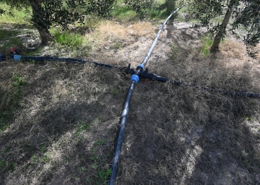 A vendre une ferme à Nabeul