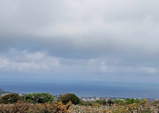 TERRAIN À METLINE – ROUTE PRINCIPALE 🌊