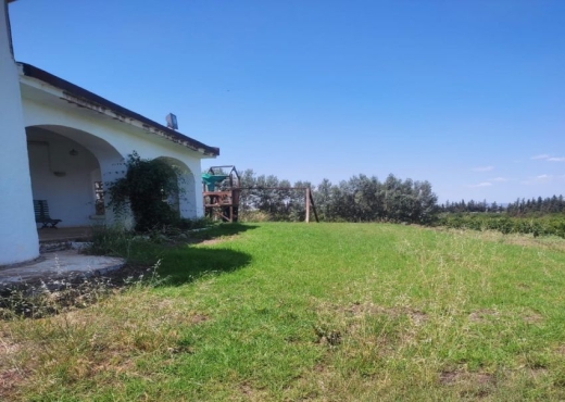 A Vendre Ferme+2 villas SidiThabe