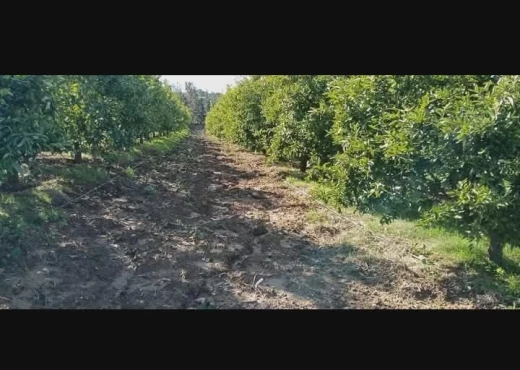 terrain À Vendre à ZAGHOUAN - société agricole à vendre - Immobiliere.tn - Photo 3