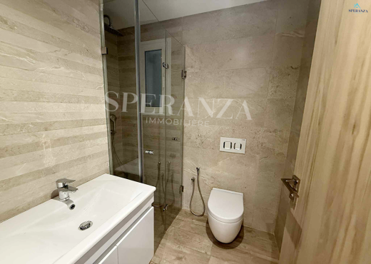 Location Appartement Aura S+1