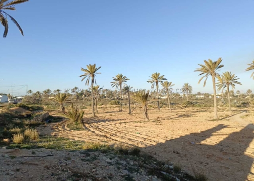 A Vendre Terrain 12511 m² a Midoun
