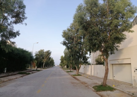 A vendre Terrain  flamant rose