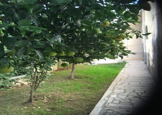 villa À Vendre à ARIANA - A vendre villa a ennkhilet - Immobiliere.tn