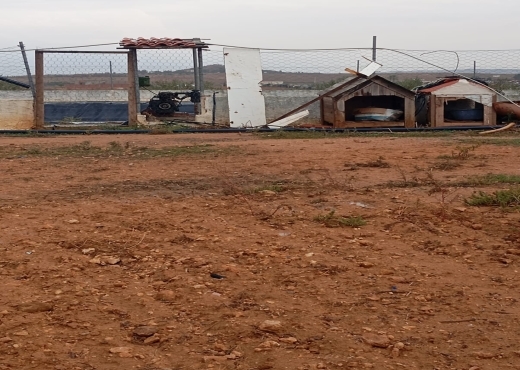 🚜 Terrain productif avec bâtiments