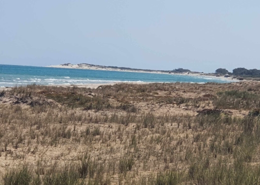 Terrain a vendre