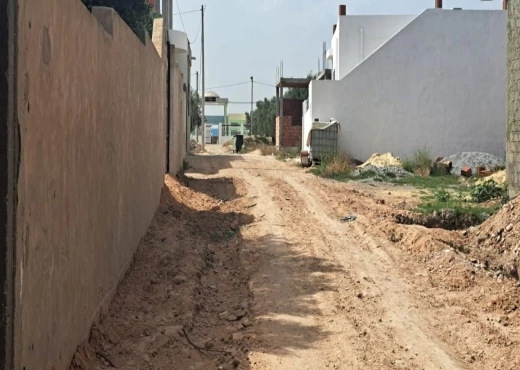 maison À Vendre à NABEUL - maison a kharoub de 100m² - Immobiliere.tn