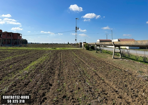 Terrain Agricole