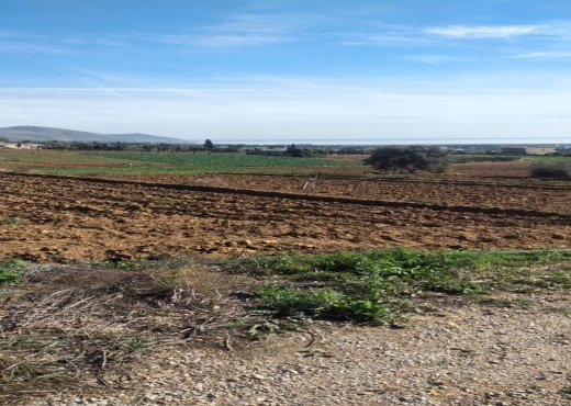 Terrain agricole constructible à Ghar El Melh