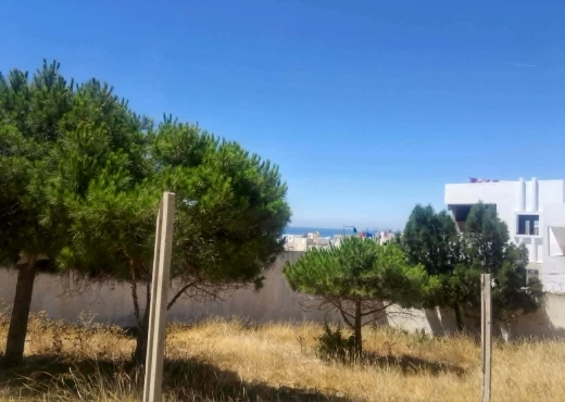 terrain À Vendre à NABEUL - terrian   hammamet  nord  274m - Immobiliere.tn