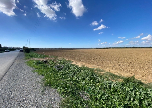 un superbe terrain agricole