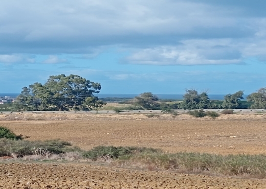 Terrain agricole, Route Ras Jebel ↔ Rafraf