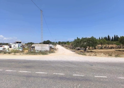 terrain À Vendre à MONASTIR - un terrain agricole - Immobiliere.tn - Photo 5