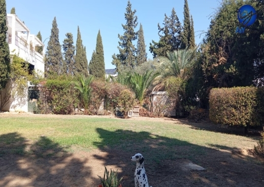 🏡 Maison avec grand jardin à vendre